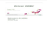 Manual Driver ODBC V16 1