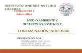 contaminacion industrial.pptx