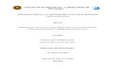 Monografia Colegio de Bachillerato "Carmen Mora de Encalada"