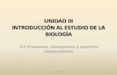 UNIDAD III 3.2 Citoplasma, Citoesqueleto y Organelos