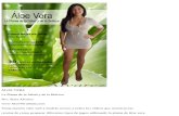 Aloe Vera - La Planta de La Salud y de La Belleza