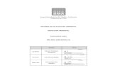 Informe Fiscalizacion SMA PAS 73