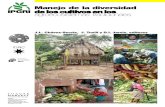 MANEJO DE LA DIVERSIDAD DE LOS CULTIVOS EN AGROECOSISTEMAS TRADICIONALES