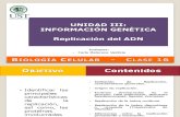 Clase 16 - Replicación Del ADN