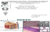 Patología muscular, ósea y articular