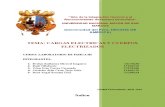 CARGAS ELECTRICAS Y CUERPOS ELECTRIZADOS - LABO 1.docx