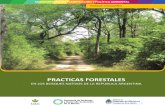 Prácticas forestales en los bosques nativos de la República Argentina Ecorregión Forestal Parque Chaqueño