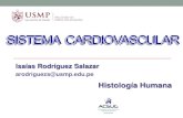 Clase 9 Sistema Cardiovascular
