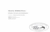 Guía Prácticas Externas.pdf