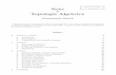 Topologia Algebrica