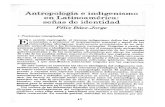 antropologia e indigenismo MUY BUENO.pdf