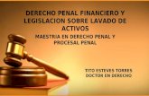 Derecho Penal Financiero