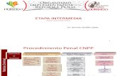 Etapas Intermedia y Etapa de Juicio Oral en El CNPP. Dr. Germán Guillén.
