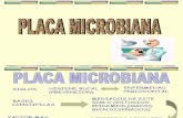 Placa Microbiana