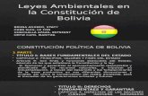 Leyes Ambientales en La Constitución de Bolivia