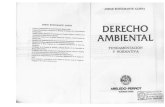 Derecho Ambiental - Fundamentación y Normativa - Bustamante Alsina.pdf