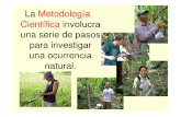 4. Metodología Científica Aplicada a La Agroforestería