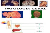 Introducción a La Anatomía Patológica.2