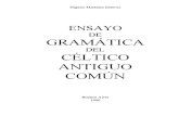 6. GRAMATICA CELTICA bis.pdf