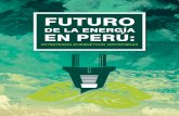 Futuro de La Energía en Perú 2016