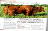 Criollos Competitivos y Sustentables