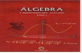 Algebra y Principios Del Análisis