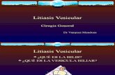 Litiasis Vesicular 2