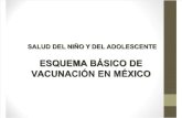 Esquema Básico de Vacunación en México
