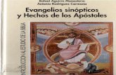 Evangelios Sinopticos y Hechos de Los Apostoles - Rafael Aguirre