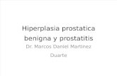 Hiperplasia Prostatica Benigna y Prostatitis