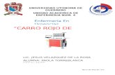 Carro Rojo Ensayo - copia - copia.docx