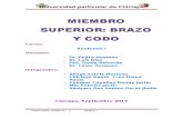 Brazo y Codo Anatomia.docx Informefinal