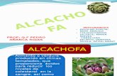 exposicion alcachofa