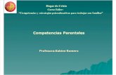Definición y Enfoque de Competencias Parentales