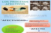 Procesos Afectivos (psicologia)