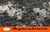 Apicultura 1973 05