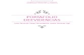 Portafolio de Evidencias de Estructura y Organizaciones Internacionales.