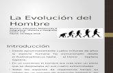 La Evolución del Hombre- Sebastián Maldonado Ramos- 7°A
