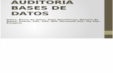 Presentacion Bd Auditoria