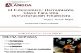 Derivados de Crédito y Fideicomisos - Prof. Martin Rojas
