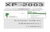 Aplicaciones de Excel Para Contadores y Auditores