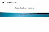 Metabolismo, Biología 1