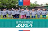 Estadísticas de la Educación, Mineduc Chile 2014