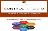 4.- Normas Control Interno.ppt