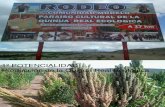 2015. Arcaine Milan. "RODEO" Comunidad Modelo Paraíso Cultural de La Quinua Real Ecológica_LaQuinua.blogspot.com