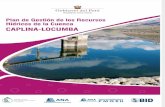 Plan de Gestión de Los Recursos Hídricos de La Cuenca Caplina-locumba