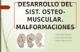 10 Desarrollo Del Sistema Osteo- Muscular