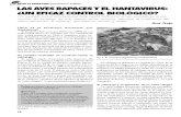 Las Aves Rapaces y El Hantavirus, Un Eficaz Control Biologico - Desde La Patagonia Difundiendo Saberes