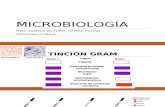 [Lab] Laboratorio Clínico - Microbiología