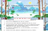 1.- MEDIO_AMBIENTE_PERU Aplicado a La Mineria